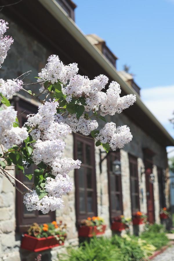 Domaine Steinbach Cidrerie, Gîte et Verger St-Pierre-de-l'Île-d'Orléans Extérieur photo
