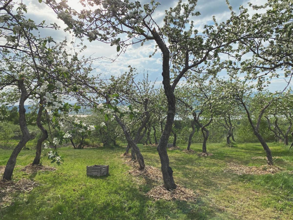 Domaine Steinbach Cidrerie, Gîte et Verger St-Pierre-de-l'Île-d'Orléans Extérieur photo